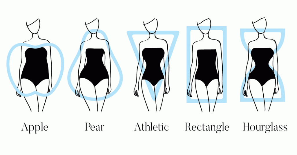 The common body types